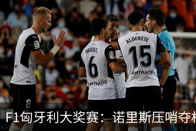 F1匈牙利大奖赛：诺里斯压哨夺杆