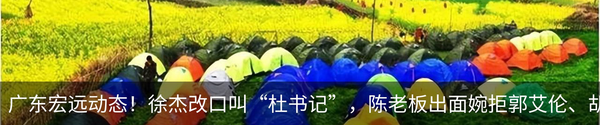 新闻动态