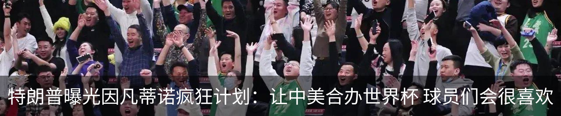 新闻动态